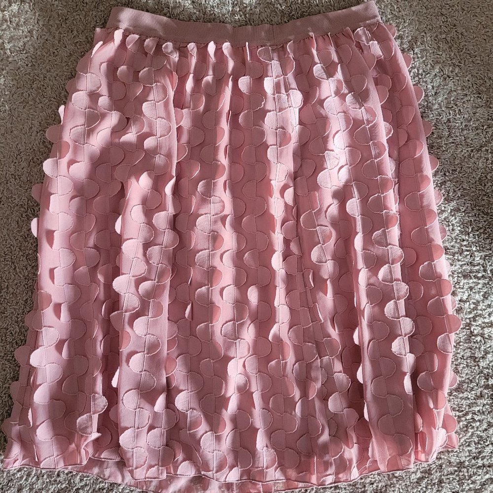 Ann Taylor Pink Ruffle Skirt